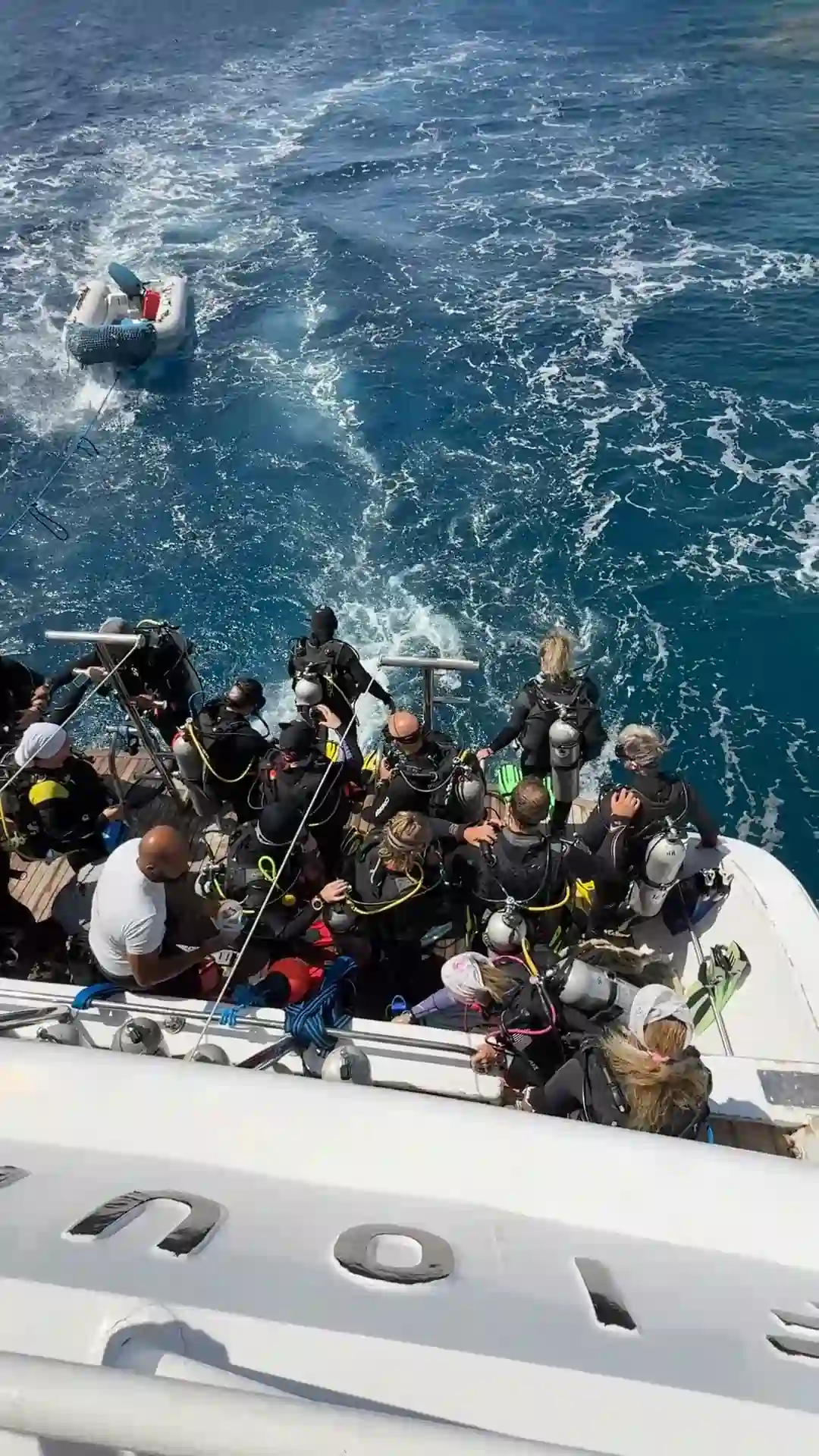 Discover the DiveIn Difference