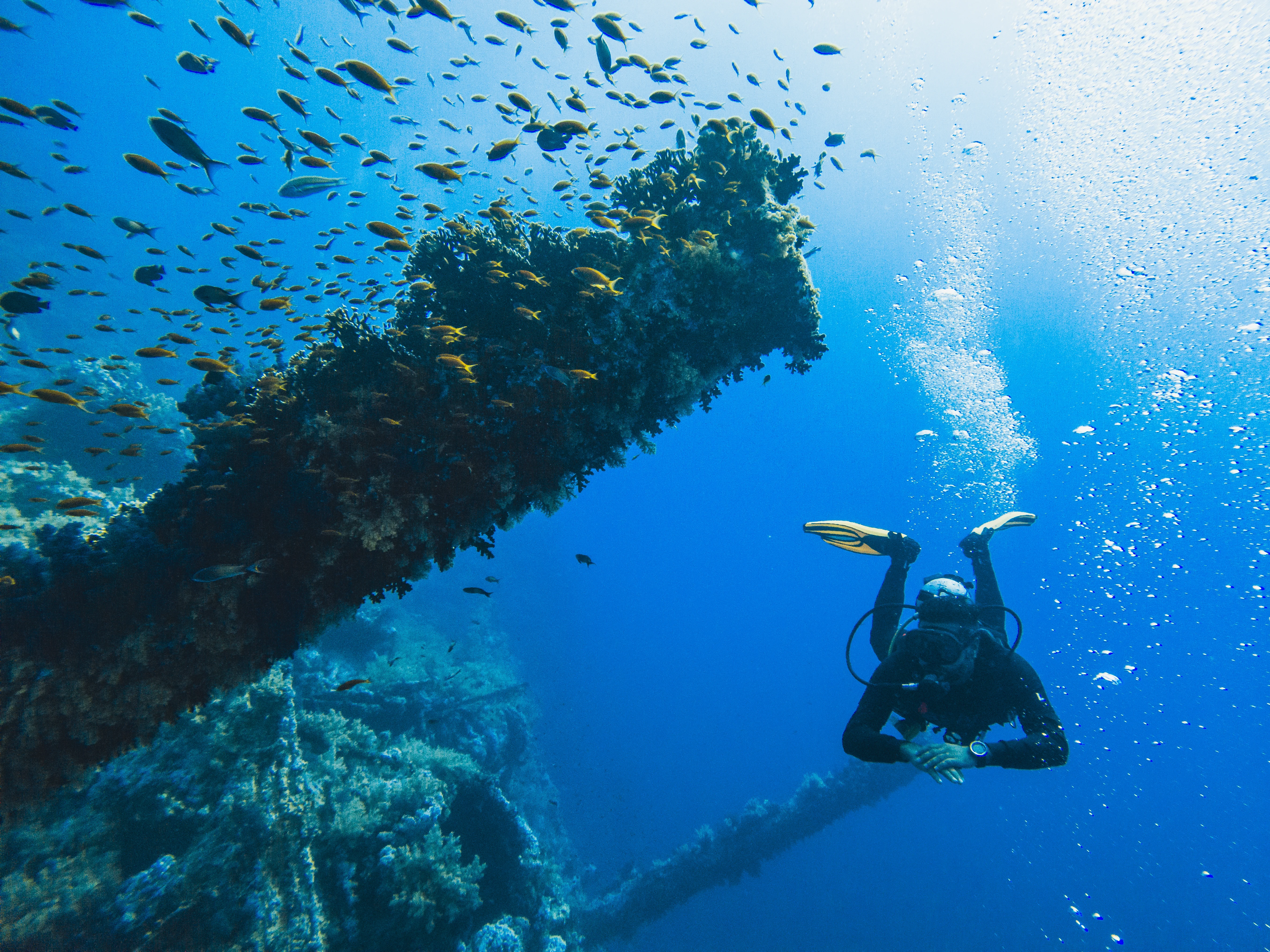 Wreck Diving