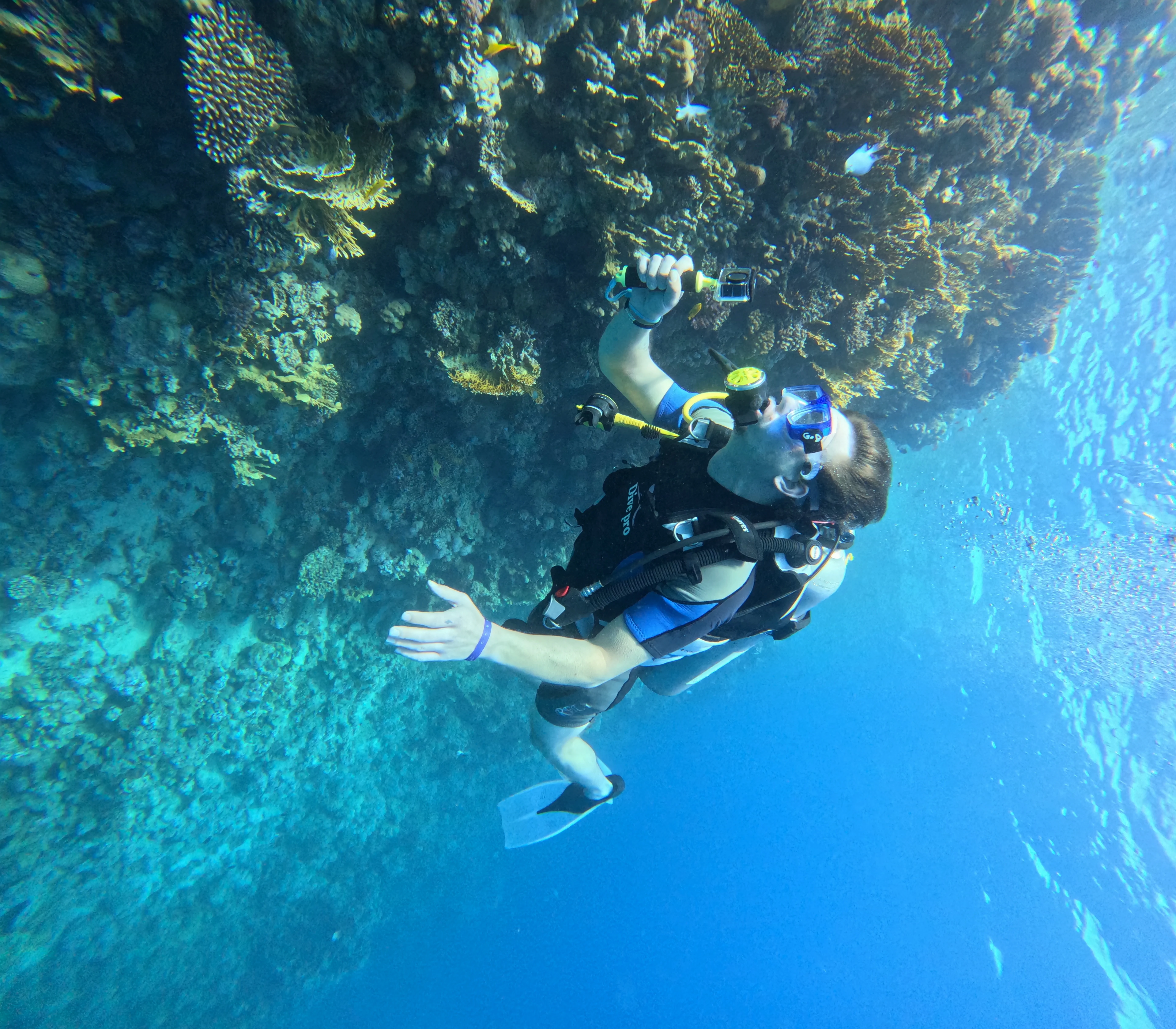 Introduction - Image 6