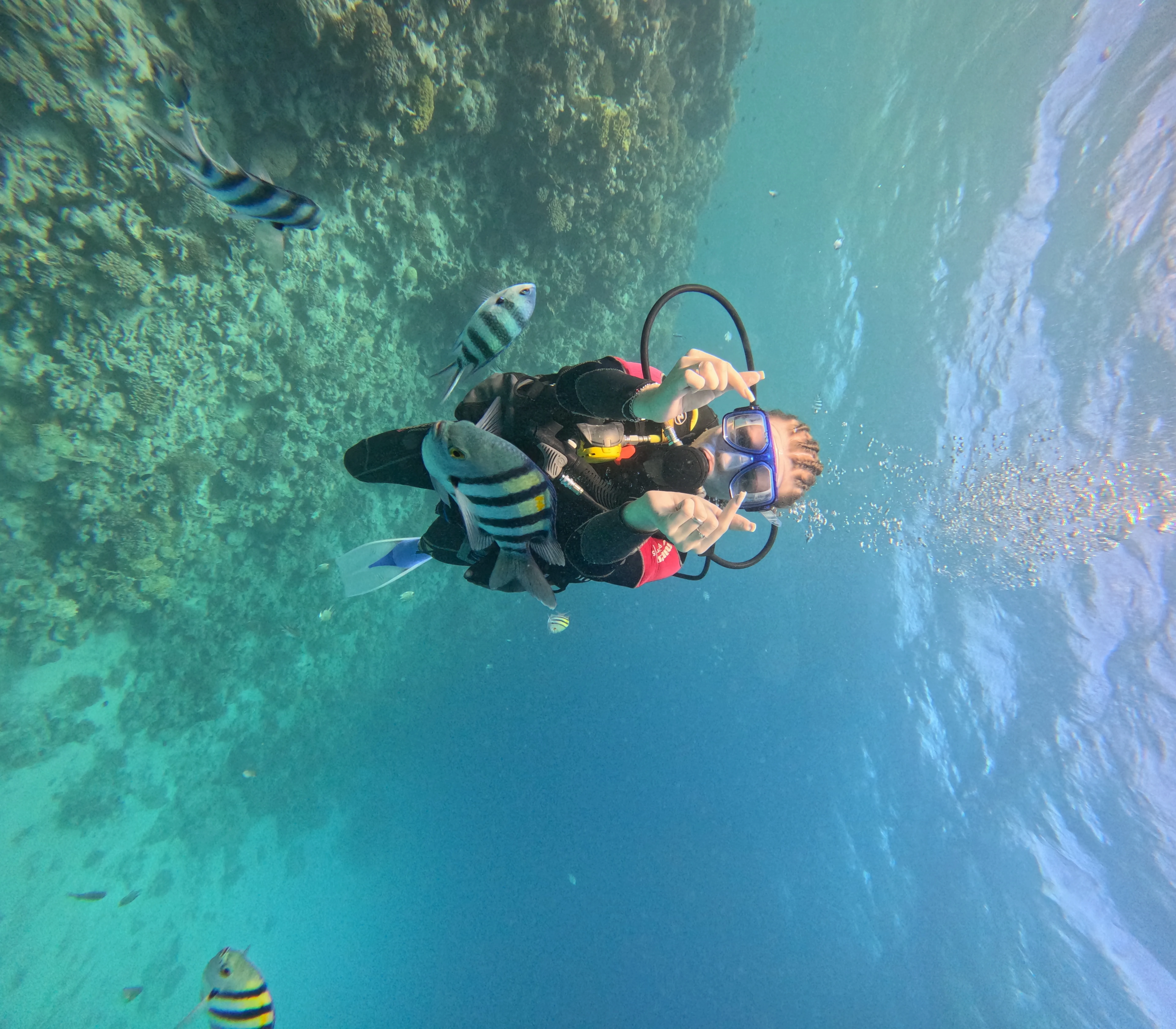 Introduction - Image 3