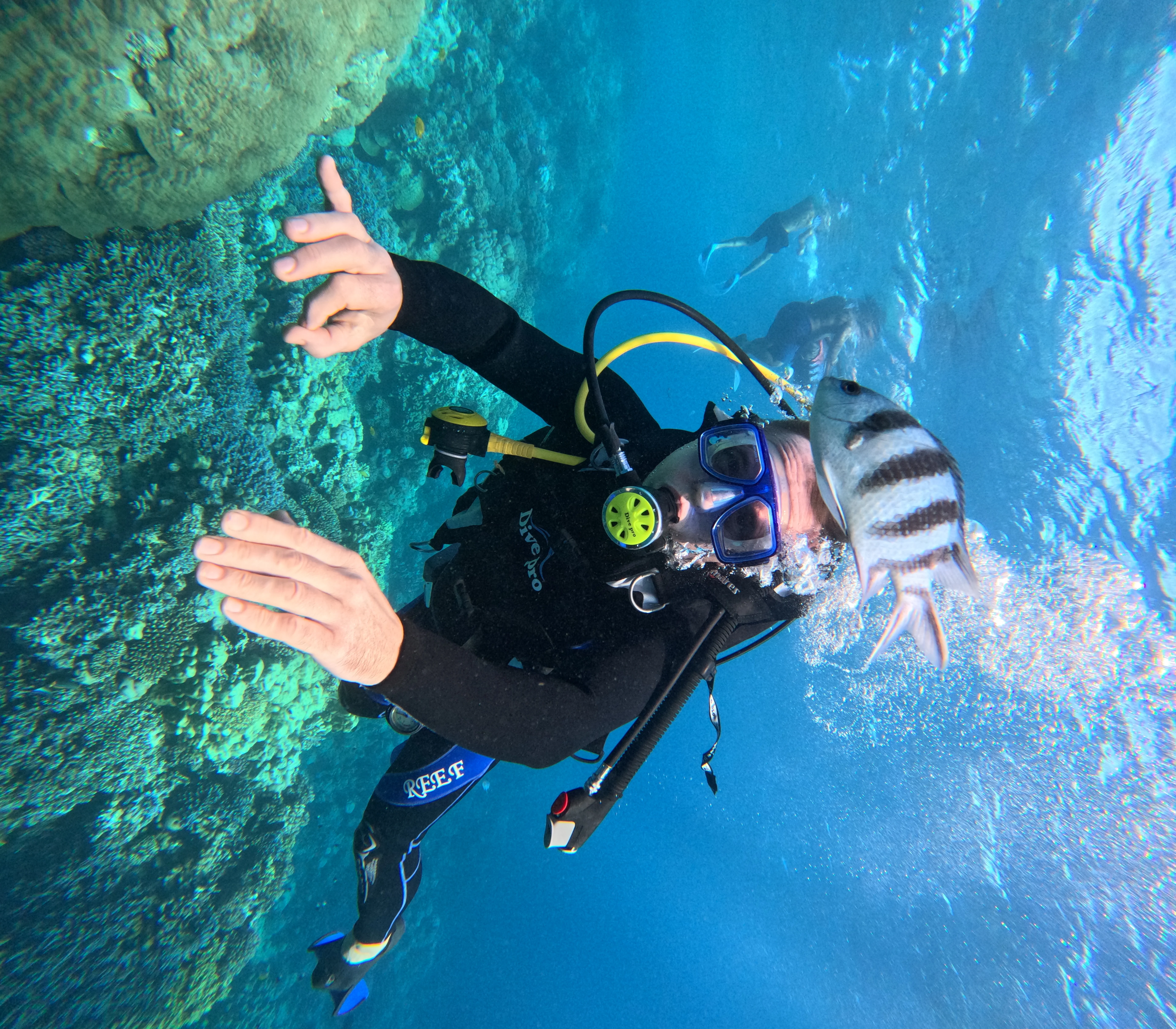 Introduction - Image 9