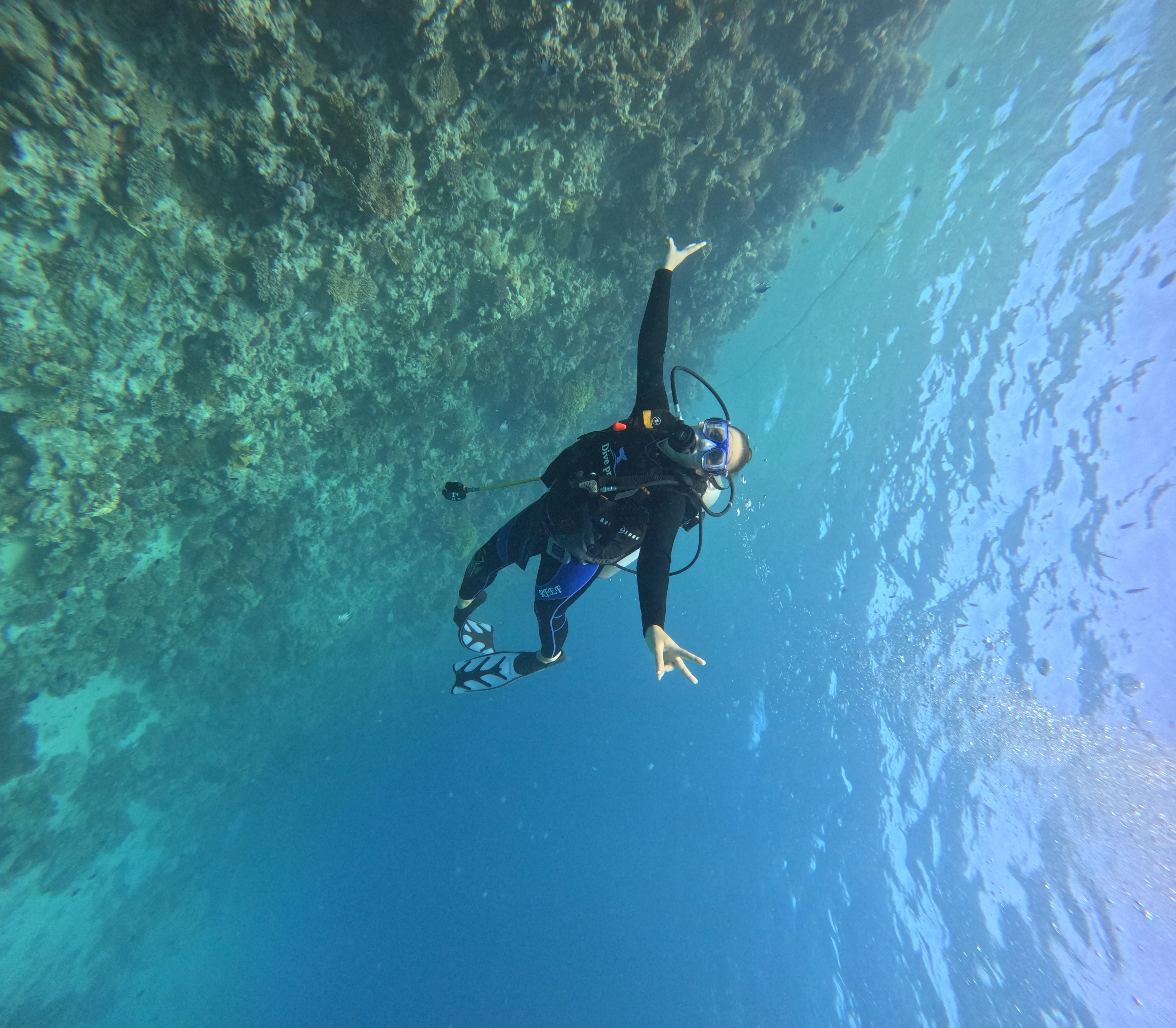 Certified Divers - Image 3