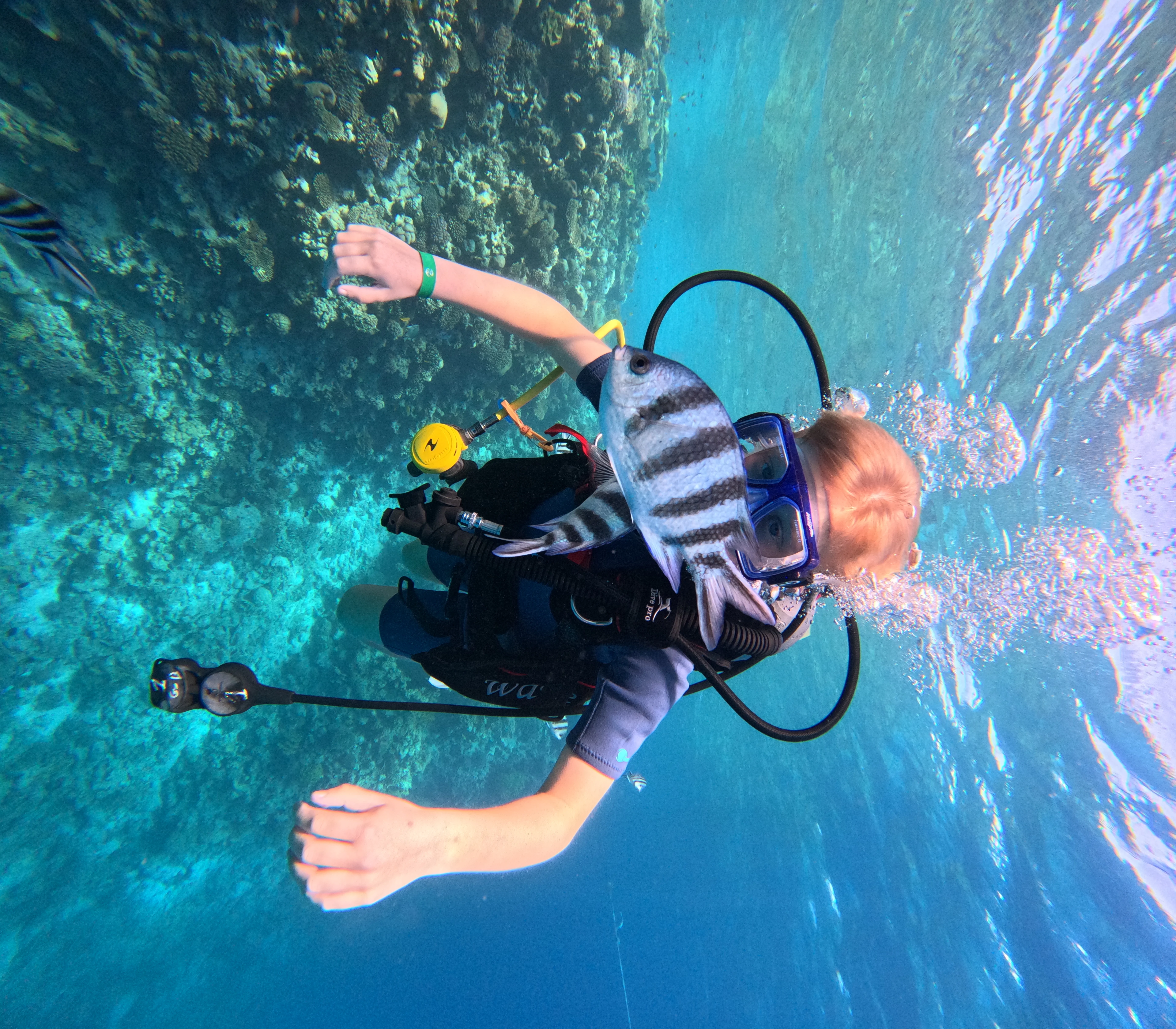 Introduction - Image 8