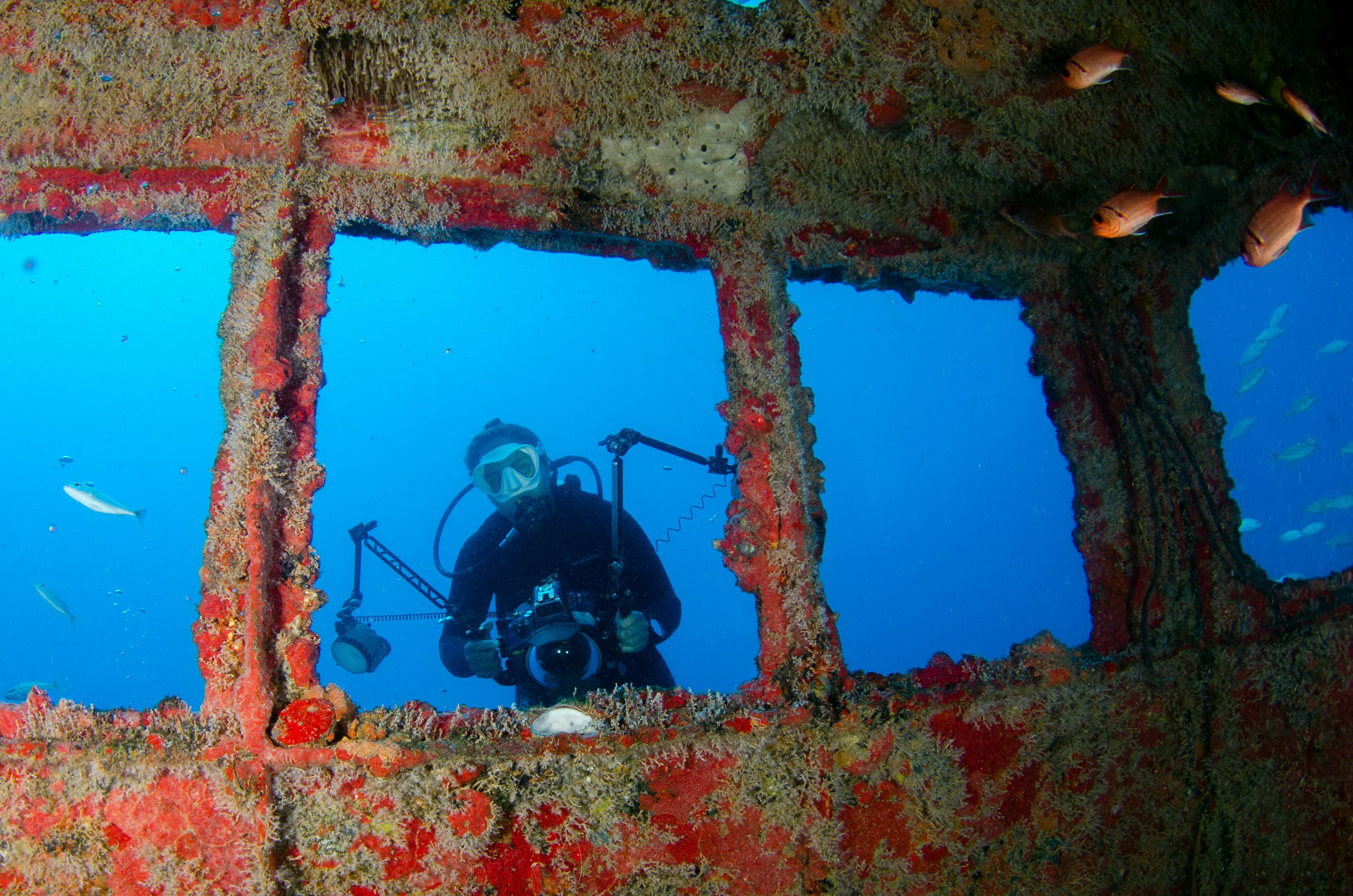Wreck Diving: Exploring Sunken History